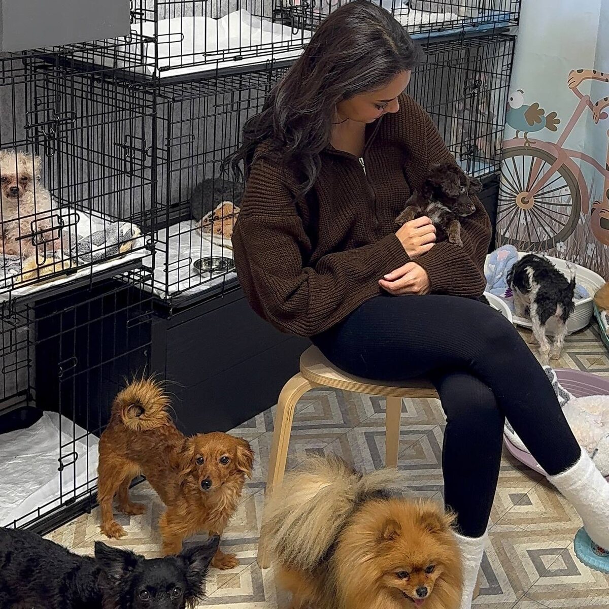 Солистка группы «СЕРЕБРО» забрала собаку из приюта Домик Мелкашей