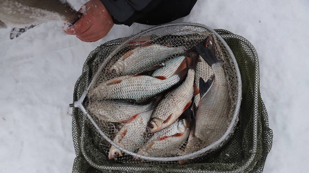    Фото: Анатолий Цымбалюк / Вечерняя Москва