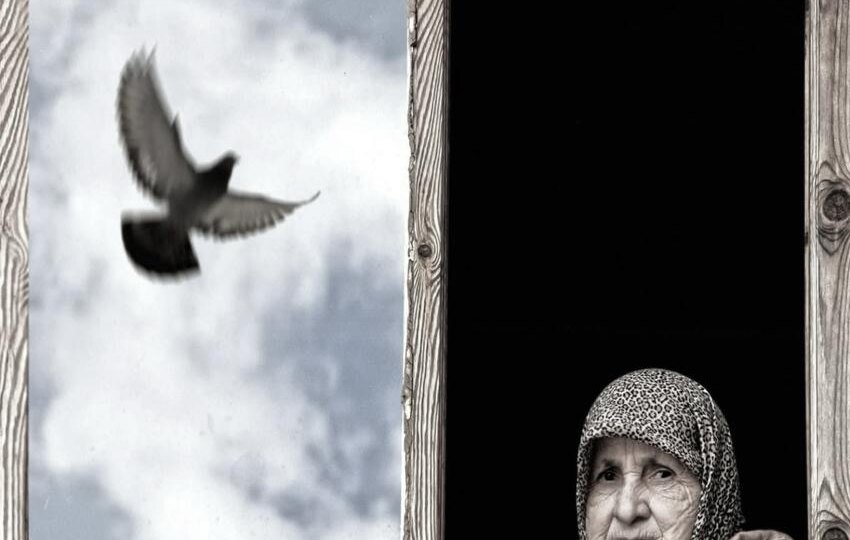 «Мы так любили покойную»