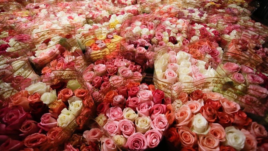 Автор фото: Максим Змеев / "ДП"