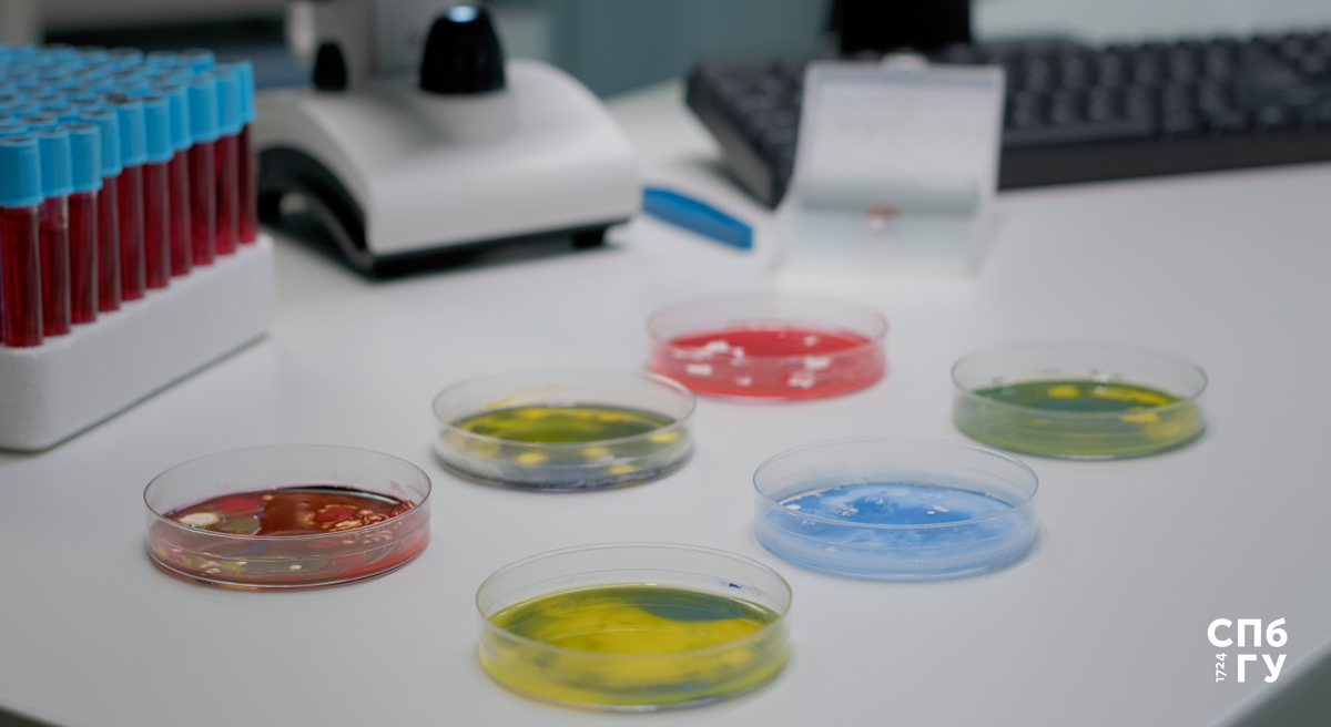 Источник: Freepik