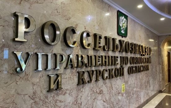    Фото: ИА «Орелград»