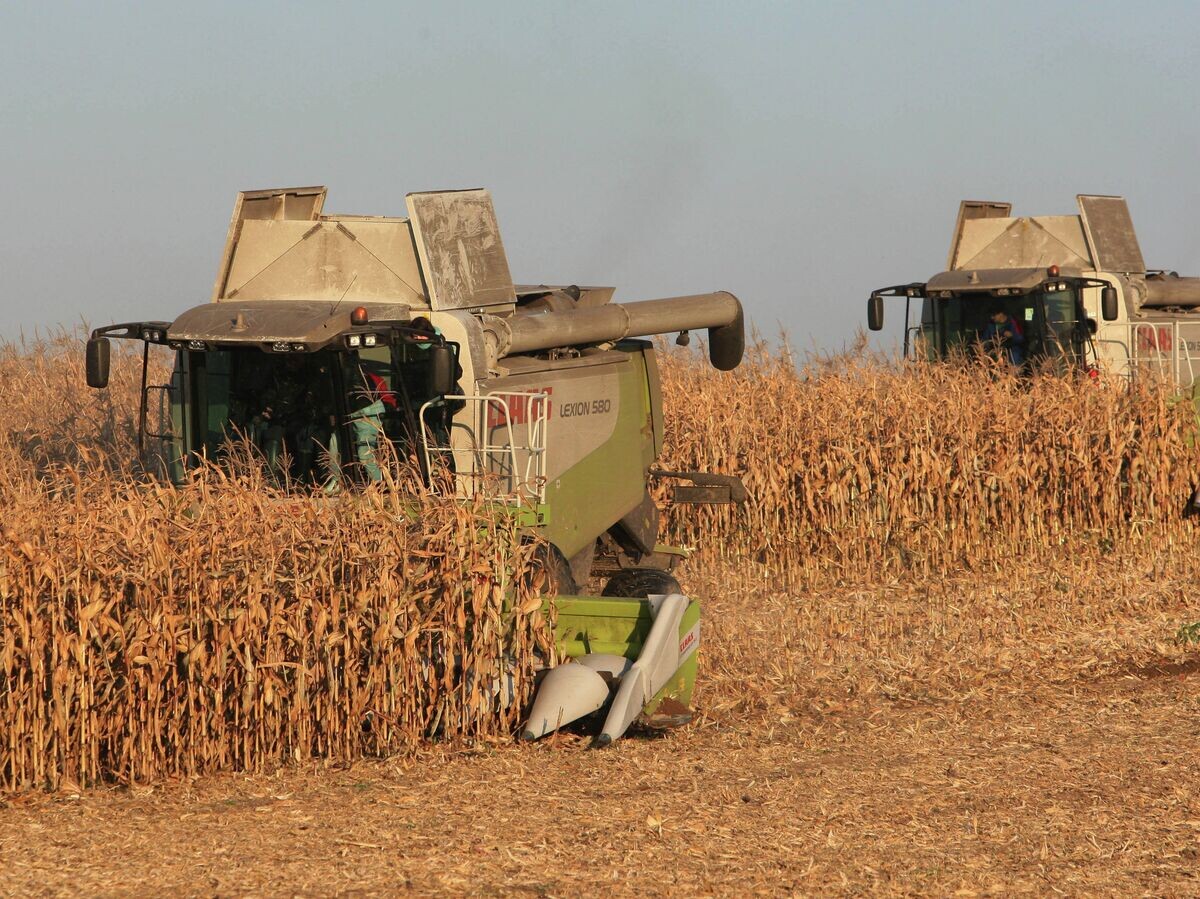    Уборка кукурузы на полях АПК "Долгов и К"© РИА Новости . Игорь Зарембо
