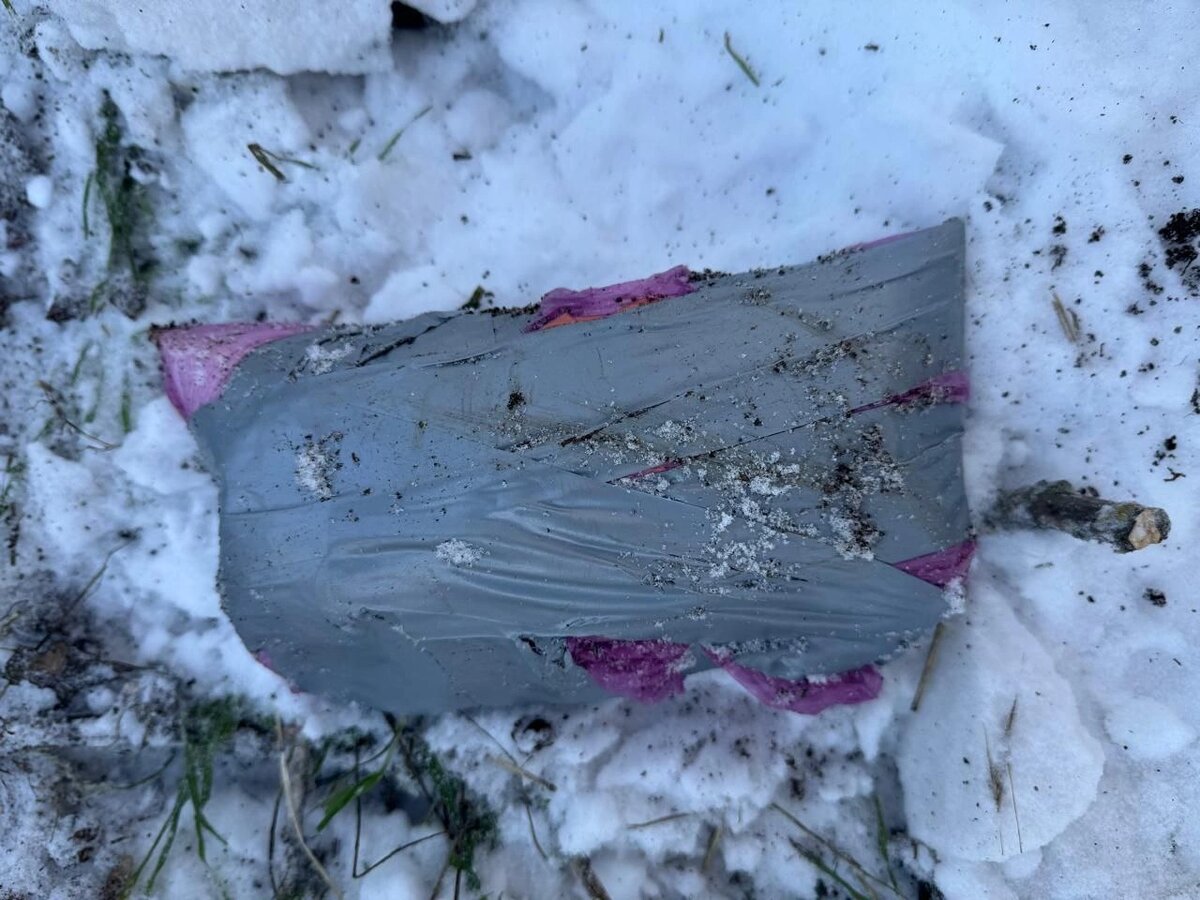    Фото: МВД по Ростовской области