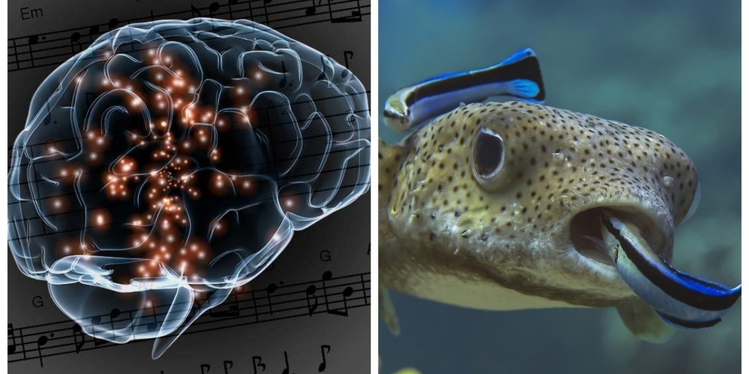 8 реальных фактов, которые всё равно хочется перепроверить