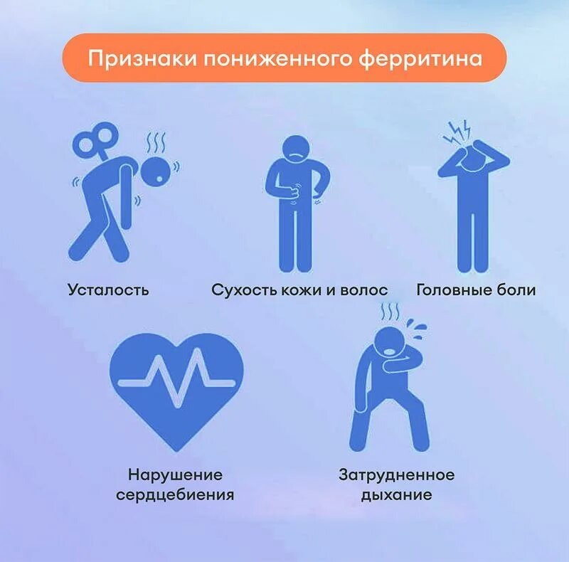 Фото Яндекс Картинки