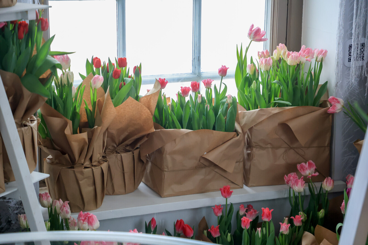 Фото: Александр Глуз / «Петербургский дневник»