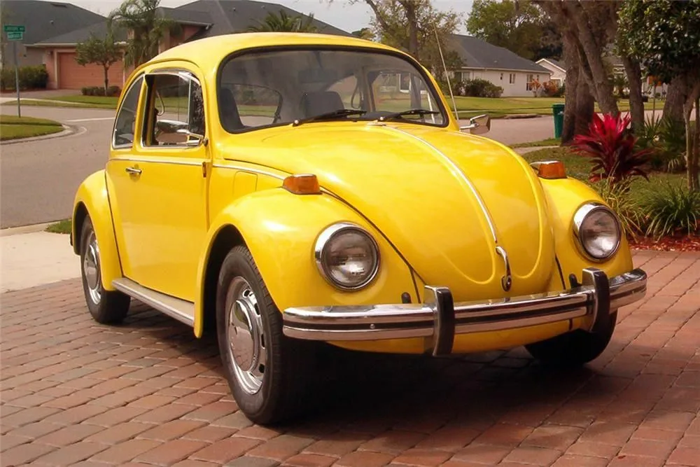 Beetle