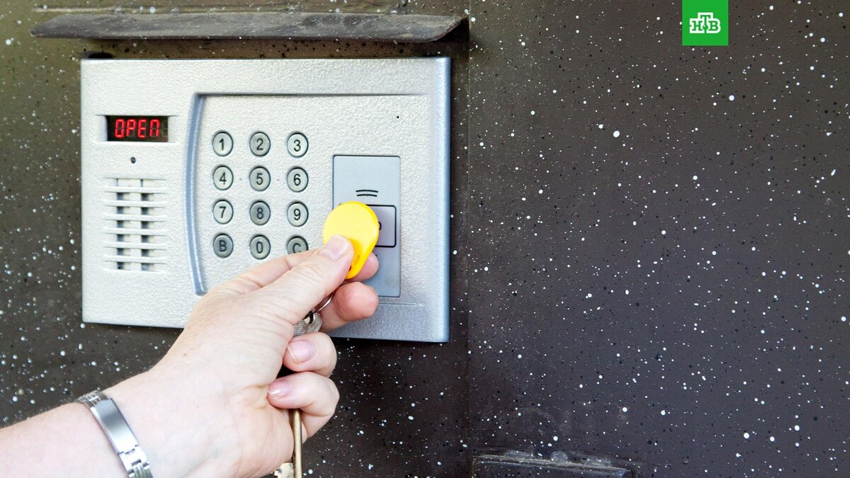    Фото: freepik.com