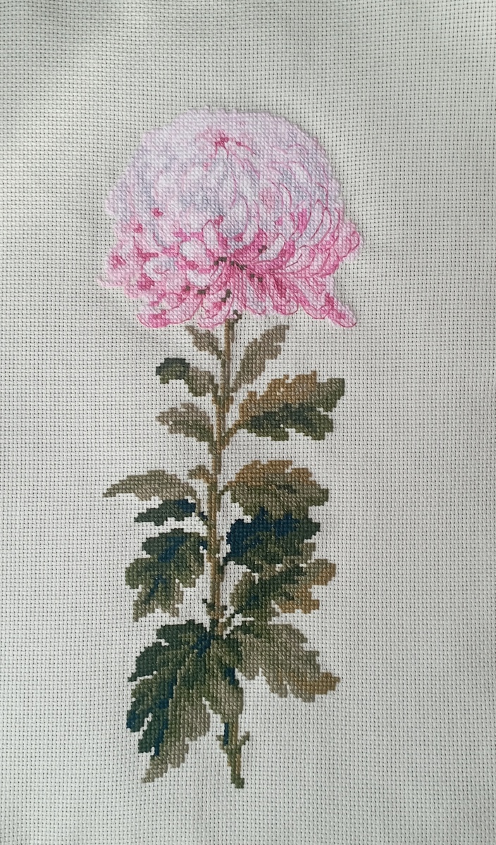 Камера цвет не передаёт, жаль😔