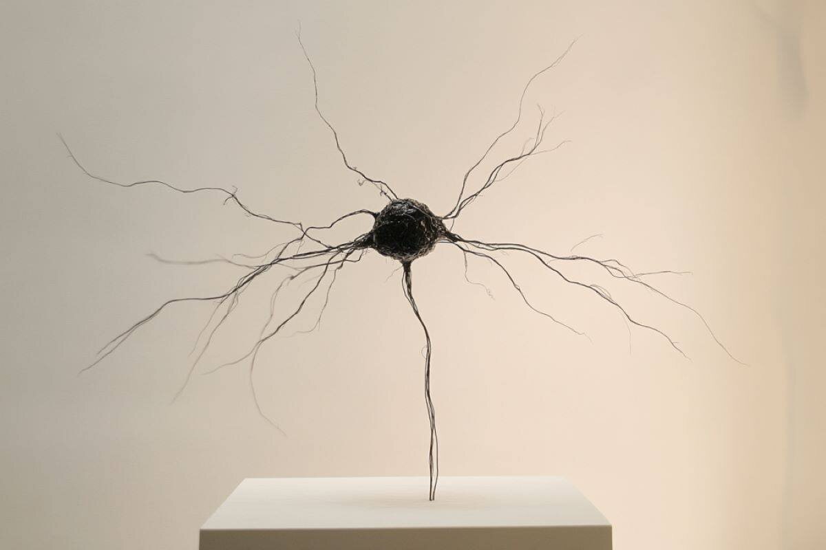    Модель нейрона в представлении художника: темное тело клетки с расходящимися в разные стороны тонкими ветвящимися отростками, установленное на светлой подставке. / © Anthony Ramos / Neuroscience News