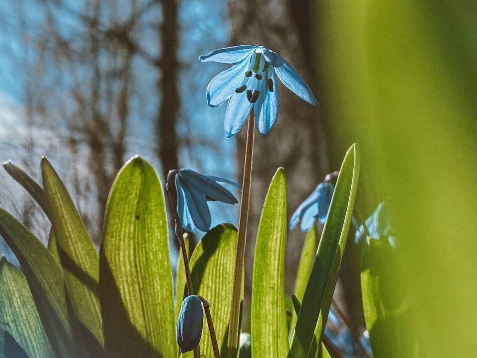    Фото: Яна Пивцайкина