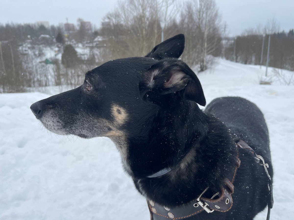 Недовольный я думаю, когда уже домой пойдем