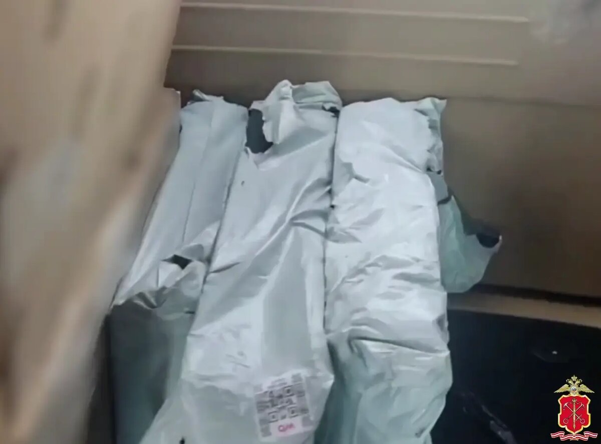    Фото: скриншот видео ГУ МВД по Петербургу и Ленобласти