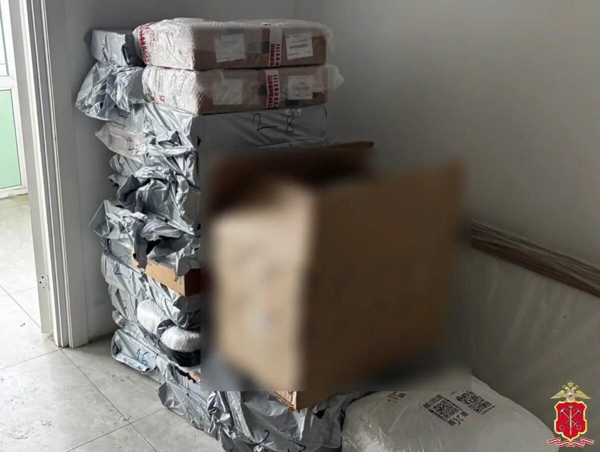    Фото: скриншот видео ГУ МВД по Петербургу и Ленобласти