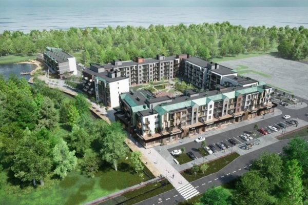 В Лесном разрешили вырубить 664 дерева для строительства гостиничного комплекса