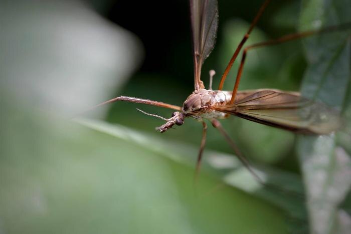 Обложка © Shutterstock / FOTODOM / Zacarias da Mata