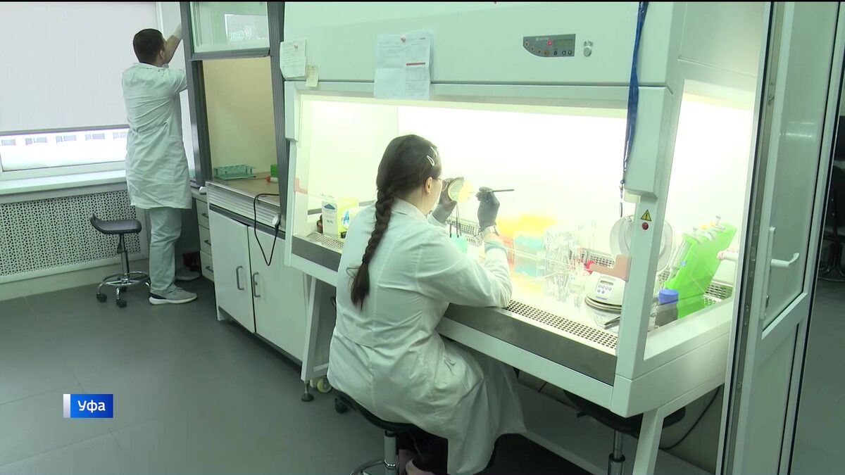    Больше поросят и меньше болезней: как уфимские ученые редактируют гены животных