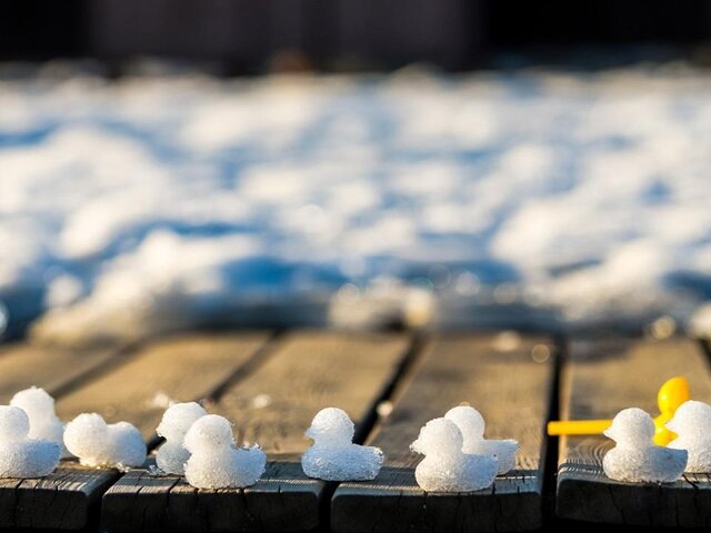    Фото: Москва 24/Лидия Широнина