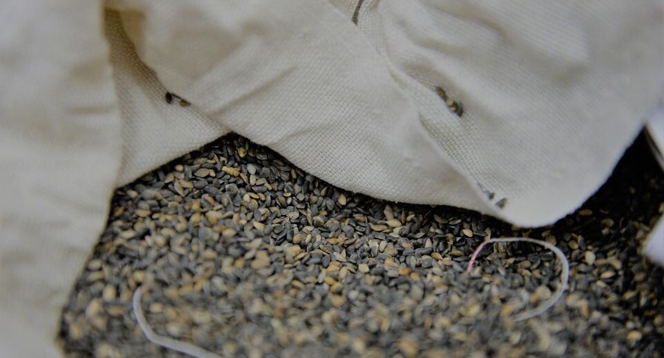    Пресс-служба Россельхоза