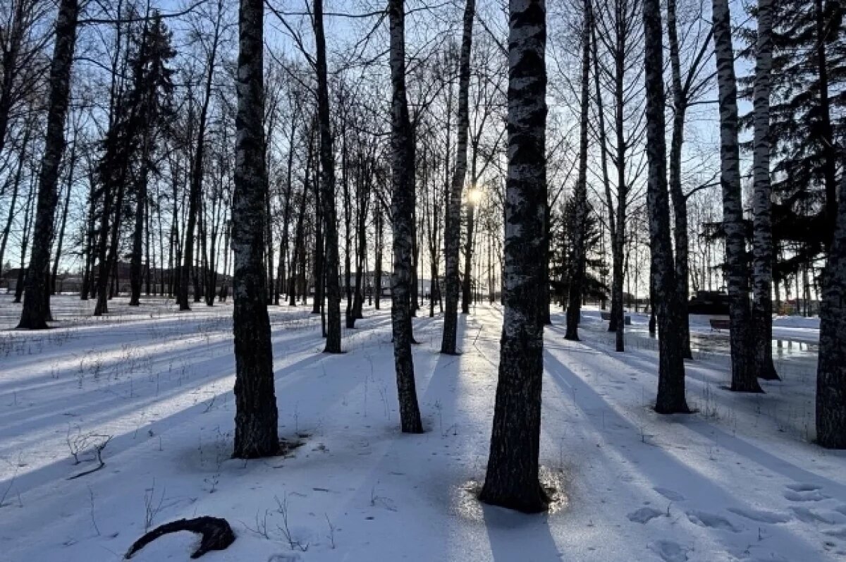    Солнце и до +11° обещают воронежские синоптики на короткой рабочей неделе