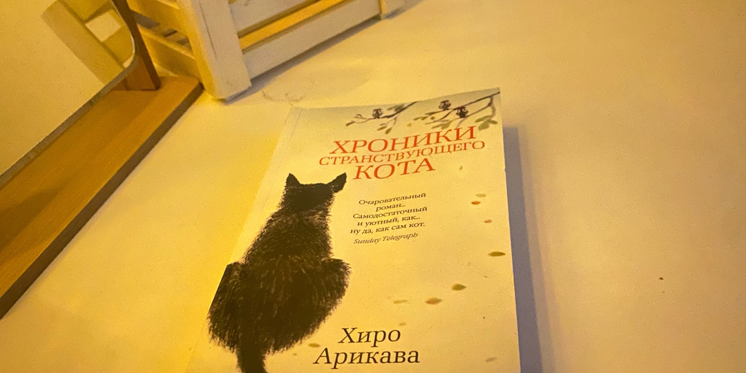 «Хроники странствующего кота»: книга, которая остаётся в сердце надолго