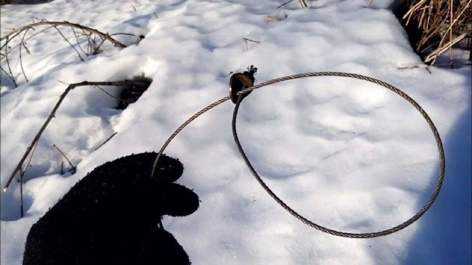    Охотничья петля. Источник: Прокуратура Республики Алтай