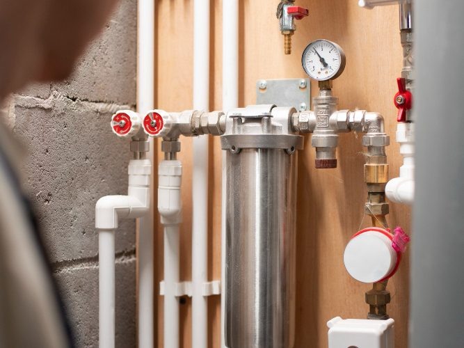    freepik.com / freepik