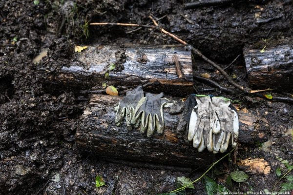 Первый клад-подснежник: калининградец выкопал бочку с посудой и инструментами