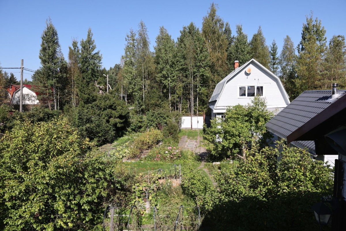    Фото: Дмитрий Фуфаев, источник: «Петербургский дневник»