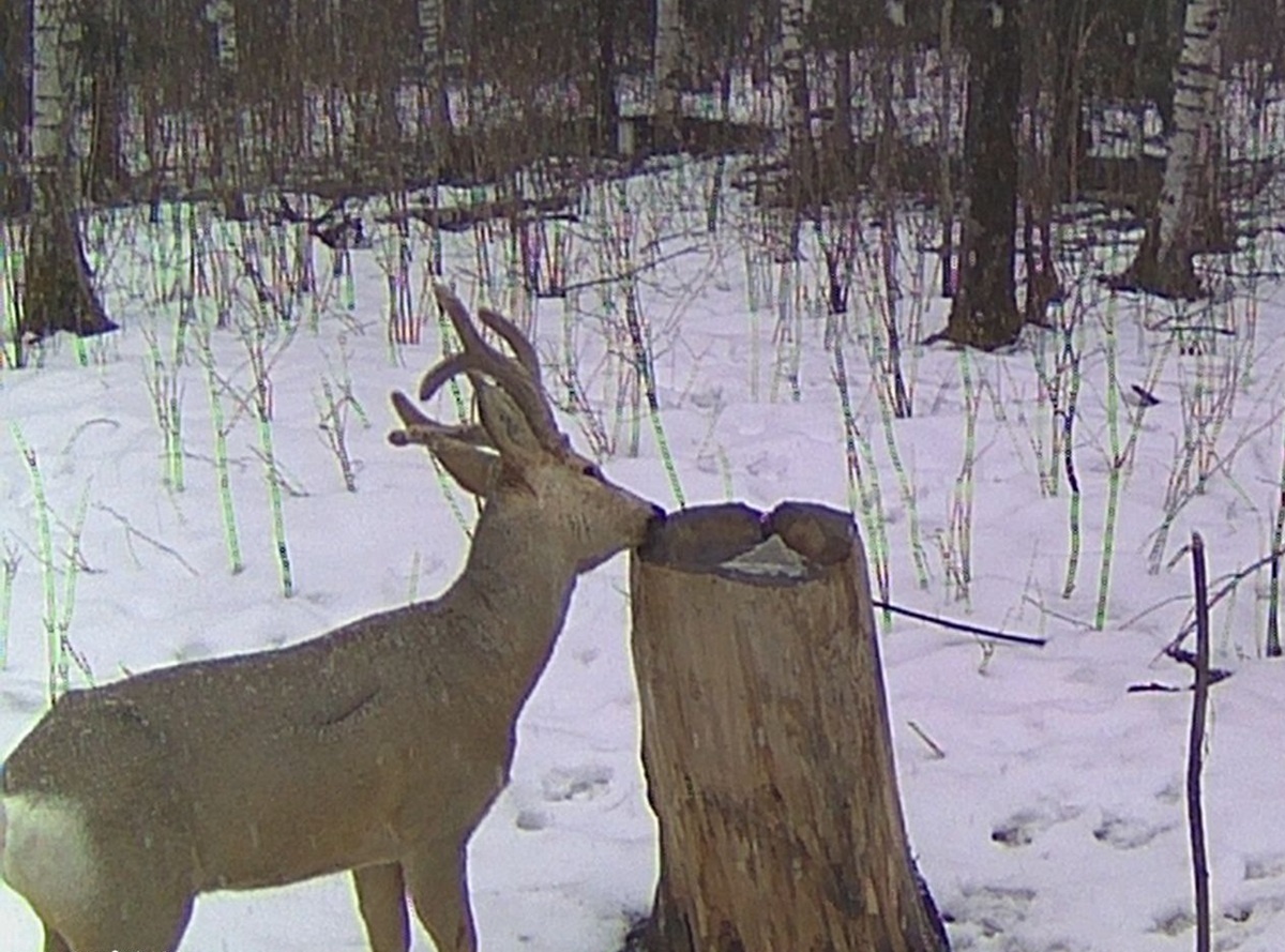    Фото из архива Евгения Сурнина