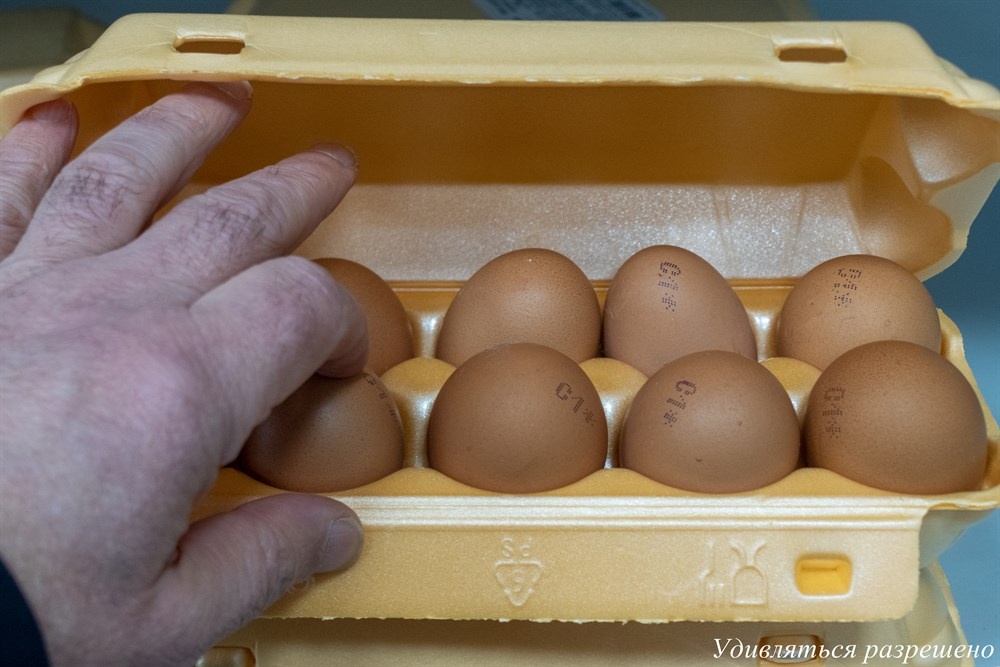 открыли и смотрим целостность ямц