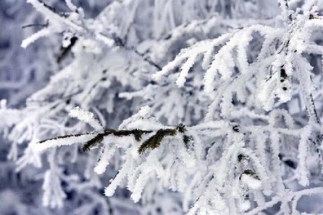    На Руси с 11 марта остерегались морозов. Фото: ГУ МЧС по Владимирской области