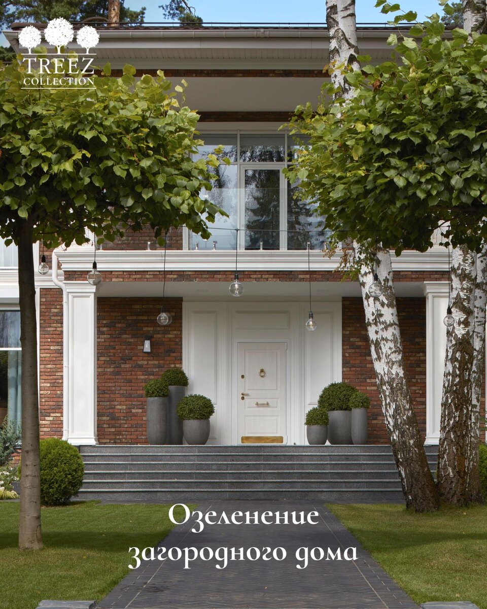 Кашпо и растения TREEZ Collection