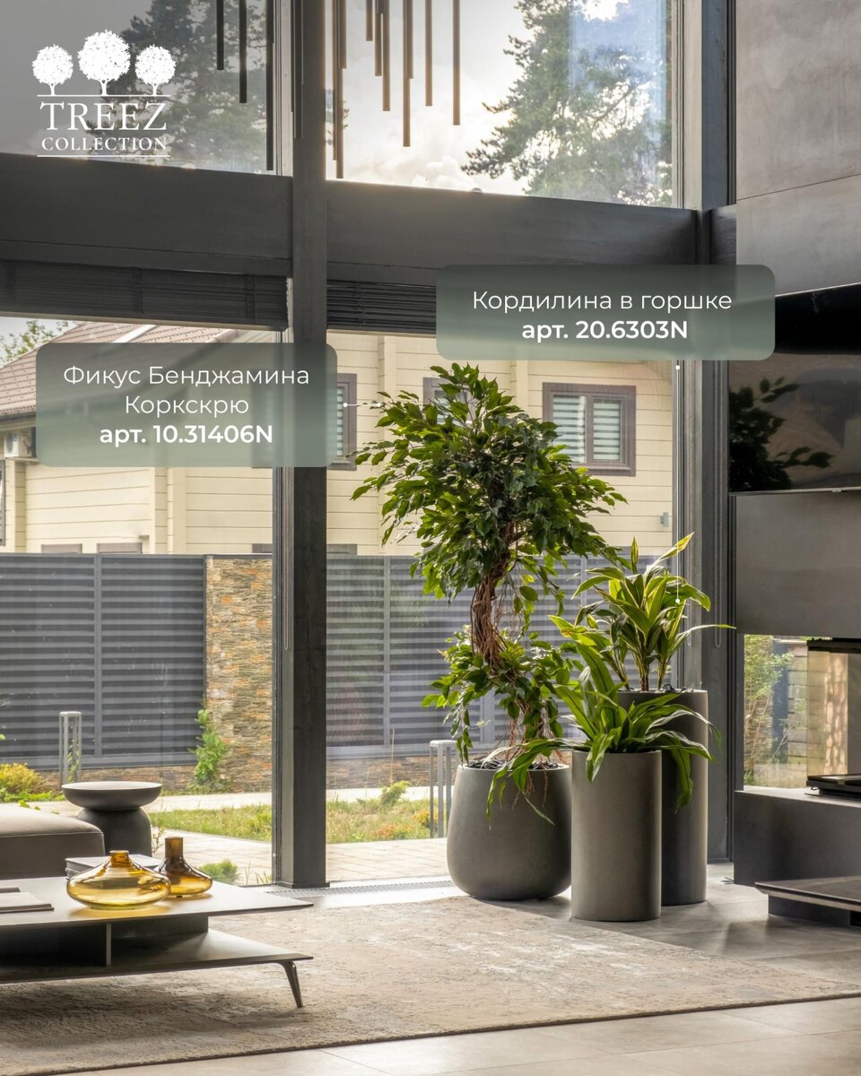Кашпо и растения TREEZ Collection