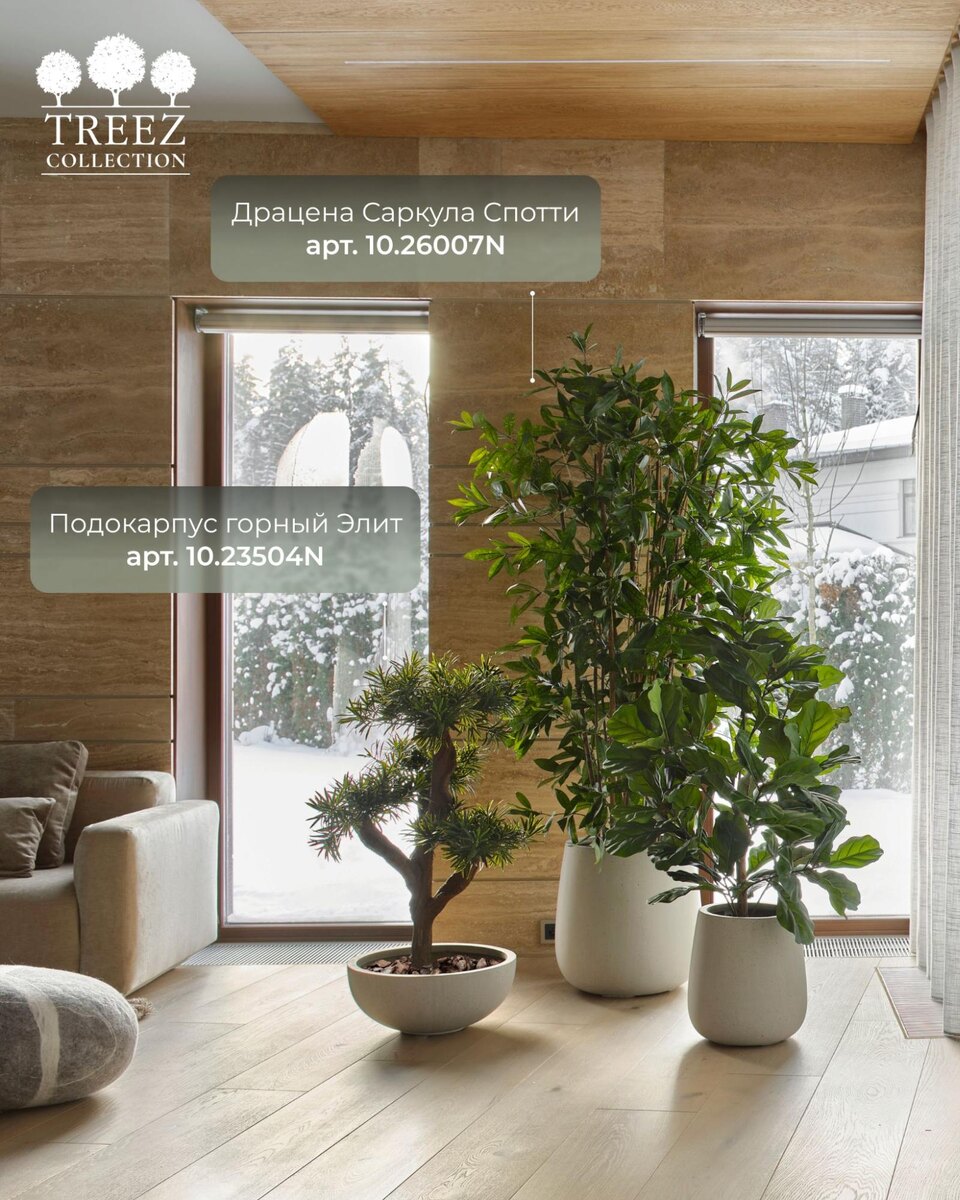 Кашпо и растения TREEZ Collection