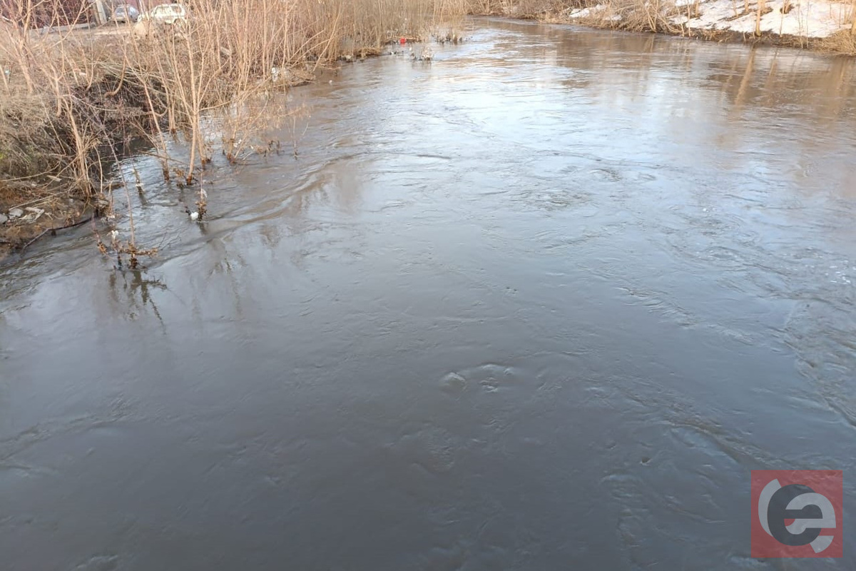    Фото: Прецедент