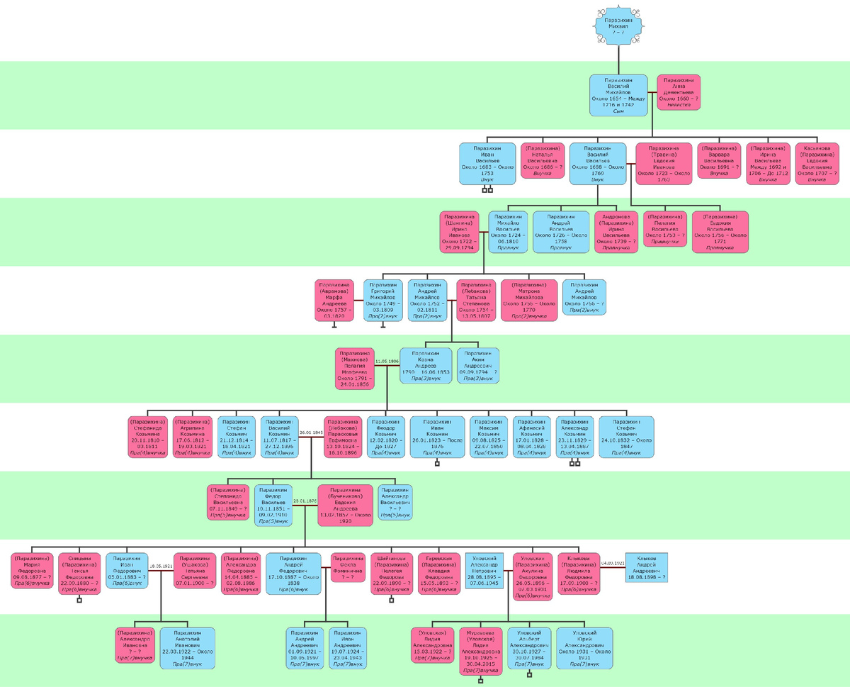 Одна из ветвей моего семейного древа - род Паразихиных (программа "Древо жизни")