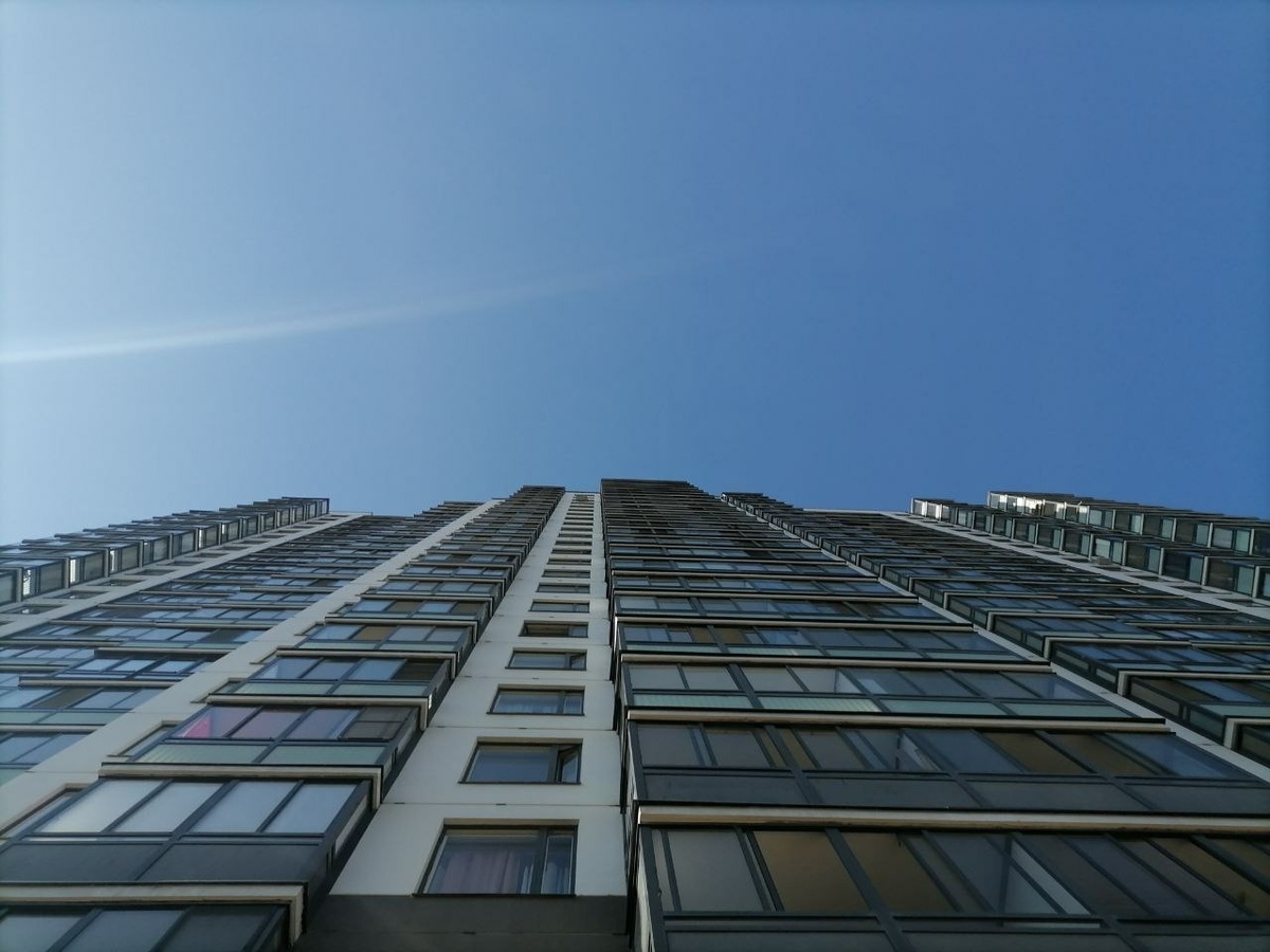 Фото: Neva.Today