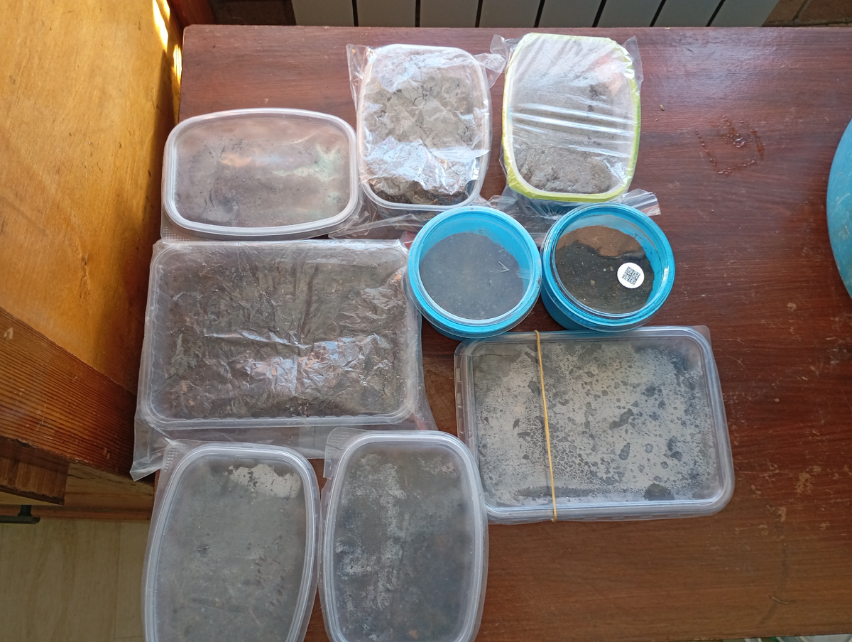 Фото автора.