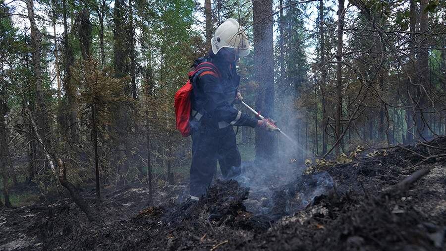    Фото: ИЗВЕСТИЯ/Павел Волков