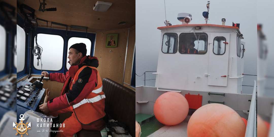 Привет из Антарктиды