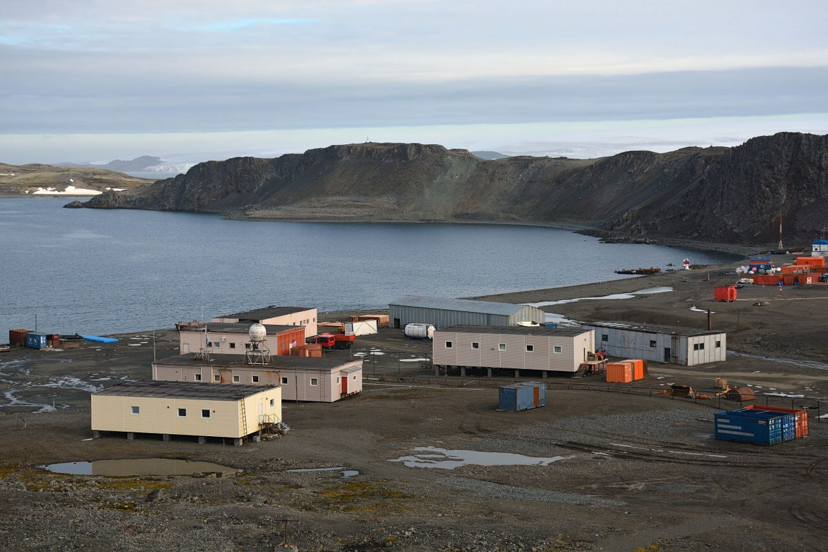 Школа Капитанов им Б. И. Дерушева | Научная станция Беллинсгаузен, Источник: Яндекс-карты
