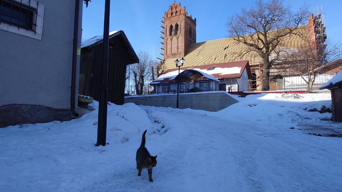 Котик и кирха