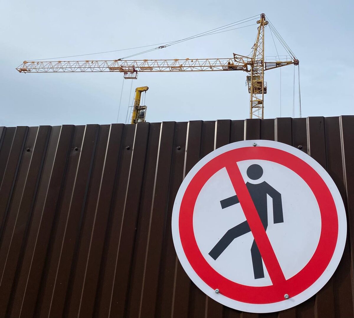    Фото: ИА “Орелград” / Светлана Числова