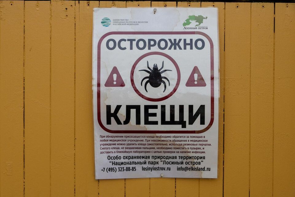    Shatokhina Natalia/news.ru / www.globallookpress.com