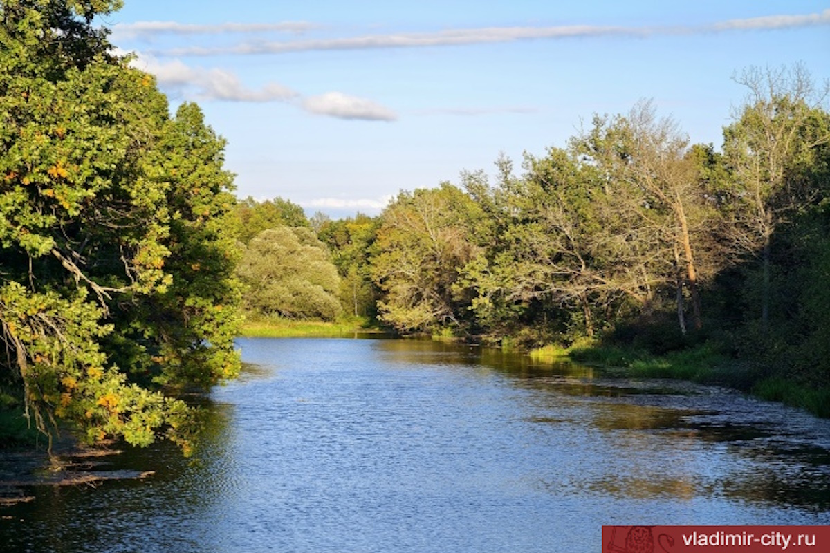    Фото: администрация г. Владимира, источник: vladimir-city.ru