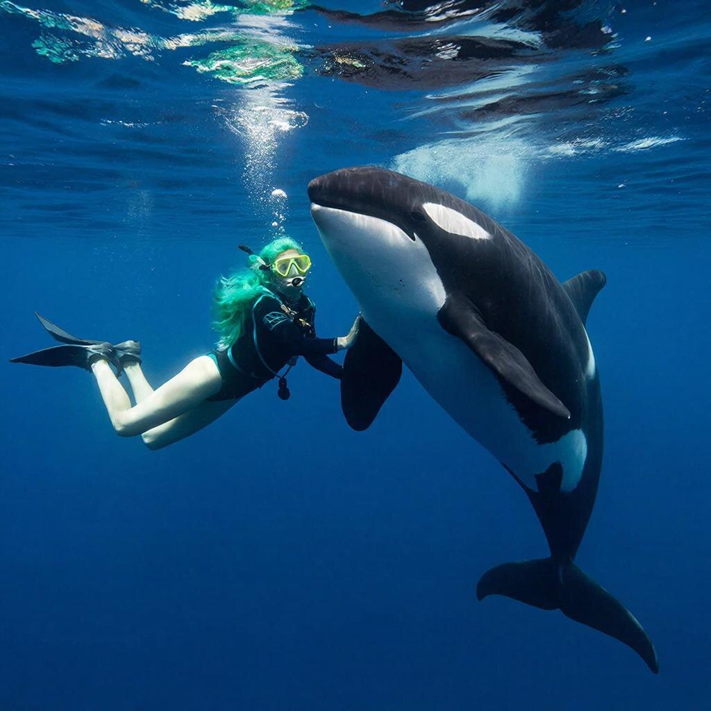 Изображение создано с помощью ИИ.