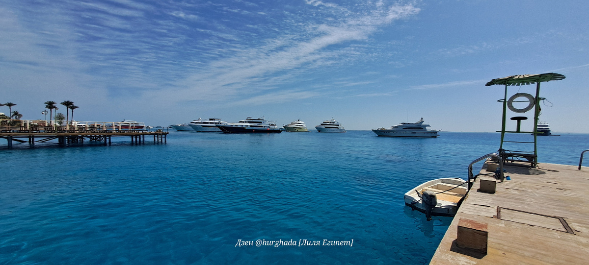 Отправит ли Египет войска в Персидский залив? Генерал Ахмед Васфи резко ответил на обсуждения.