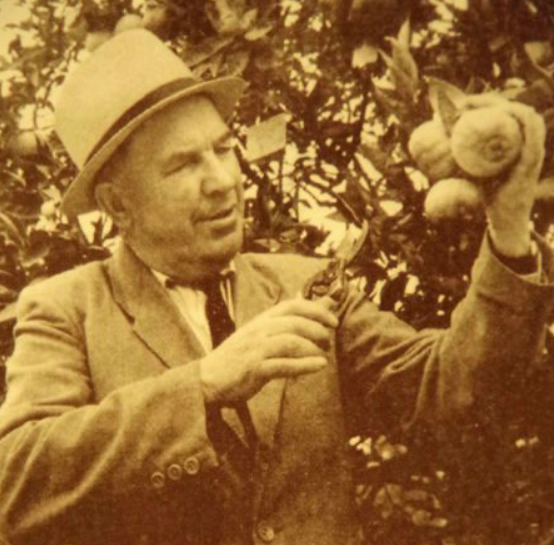 Федор Михайлович Зорин 